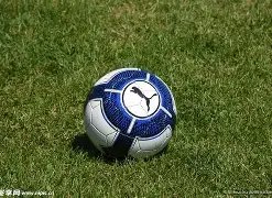 年自由球员,动向揭秘,梅西,世界杯竞猜,2026世界杯,竞彩攻略,投注技巧,赛事分析