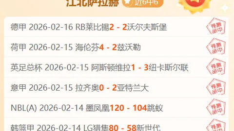巴埃斯再夺里约网赛冠军宝座